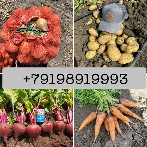 Фото объявления: 🥔 КАРТОФЕЛЬ 🥔, Азов