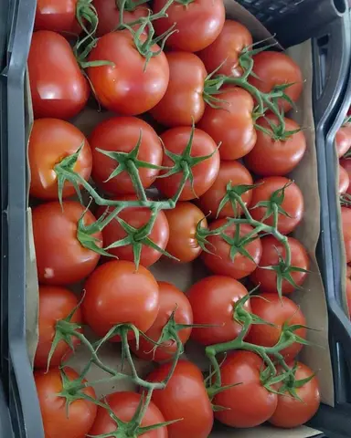Фото объявления: 🍅 СНИЖЕНИЕ ЦЕН НА ТОМАТЫ! Только 30.06! 🍅, Москва