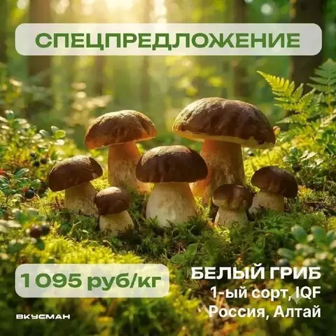 Фото объявления: 🍄‍🟫ИНТЕРЕСНАЯ ЦЕНА НА СВЕЖЕМОРОЖЕНЫЙ БЕЛЫЙ ГРИБ 1-ГО СОРТА, Барнаул