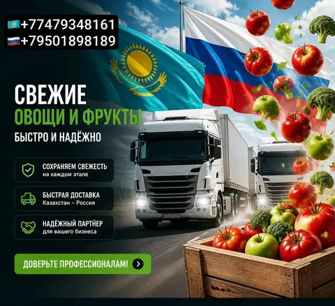 Фото объявления: 🚚 ПРЯМЫЕ ПОСТАВКИ СВЕЖИХ ОВОЩЕЙ И ФРУКТОВ ИЗ КАЗАХСТАНА В РОССИЮ! 🥦🍎, Россия