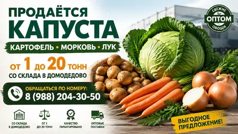 Фото объявления: Продаётся, капуста, картофель, морковь, лук, Москва