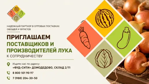 Фото объявления: Компания "АЛМАК-АГРО" закупает репчатый лук 🧅для поставок в торговые сети., Москва