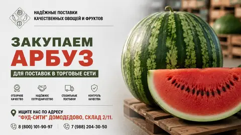 Фото объявления: Компания «АЛМАК-АГРО» закупает арбуз для поставок в торговые сети ✅, Москва