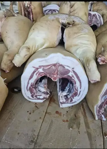 Фото объявления: ❗️🐷Свинина из Алтайского края. Продукция сертифицирована и соответствует установленным требованиям. Свинина…