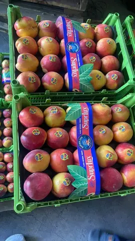 Фото объявления: продукция из Ирана:, Иран