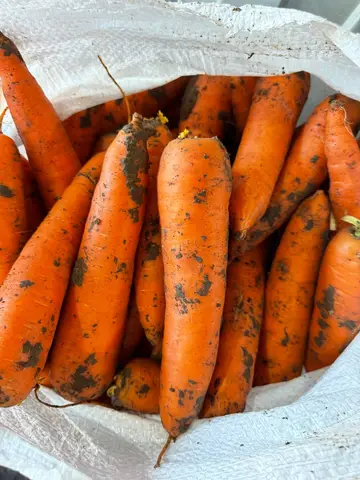 Фото объявления: 🥕 с холодильника супер качество‼️, Волгоград