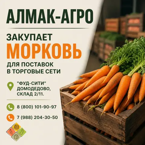 Фото объявления: Компания "АЛМАК-АГРО" закупает тщательно отобранную морковь, готовую к отправке в торговые сети., Москва