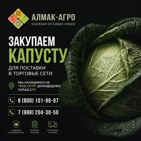 Фото объявления: Компания "АЛМАК-АГРО" приглашает к сотрудничеству поставщиков и производителей капусты 🥬 🥬, Москва