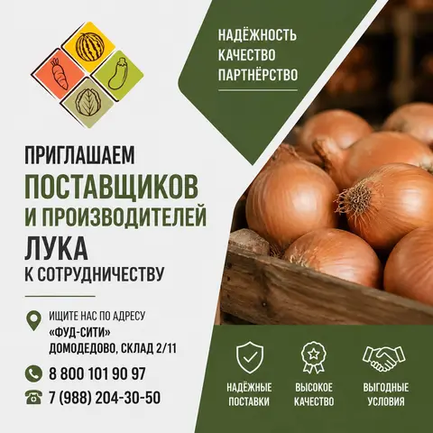 Фото объявления: Компания "АЛМАК-АГРО" закупает репчатый лук 🧅для поставок в торговые сети., Москва