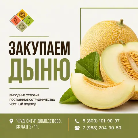 Фото объявления: Компания «АЛМАК-АГРО» закупает дыню торпеда, Домодедово