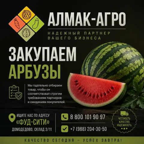 Фото объявления: Компания «АЛМАК-АГРО» закупает арбуз для поставок в торговые сети ✅, Домодедово