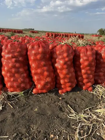 Фото объявления: 🧅 ЛУК 🧅, Азов