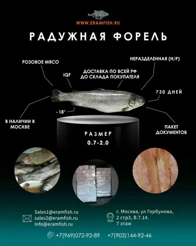 Фото объявления: ООО ЭРАМ - прямой импортер и поставщик форели в РФ, Москва