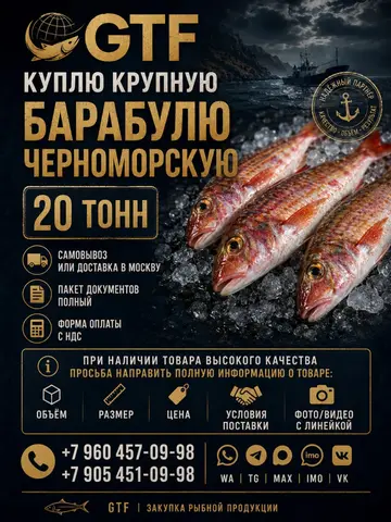 Фото объявления: 🐟 КУПИМ КРУПНУЮ ЧЕРНОМОРСКУЮ БАРАБУЛЮ — 20 ТОНН, Москва