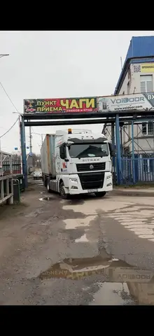 Фото объявления: Продаём📍Сухая Березовая Чага: кусок и головы ✔️, Вологодская область, изображение 2