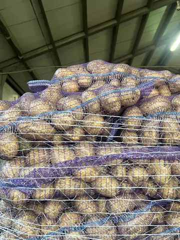Фото объявления: Картофель оптом 🥔🥔🥔, Белгород