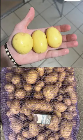 Фото объявления: Картофель оптом 🥔🥔🥔, Белгород