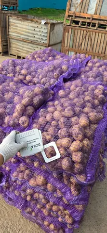Фото объявления: Доброго времени суток! Представляю вашему вниманию универсальный столовый сорт картофеля!🤝🤠, Республика Тат…
