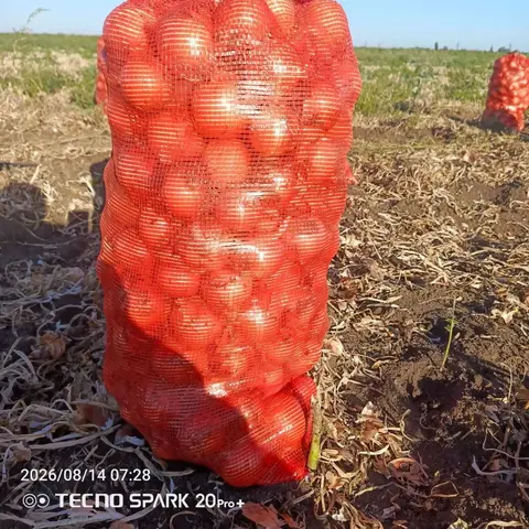 Фото объявления: Лук🧅🧅🧅, Республика Крым