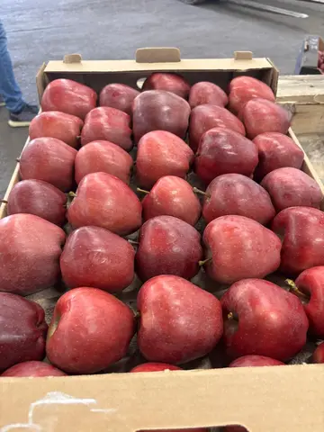 Фото объявления: Реализуем яблоко собственного производства 🍎🍏, Краснодарский край