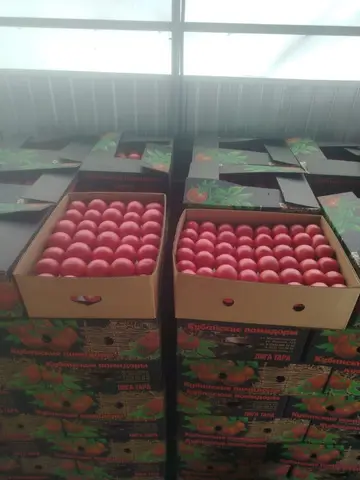 Фото объявления: Розовый помидор 🍅